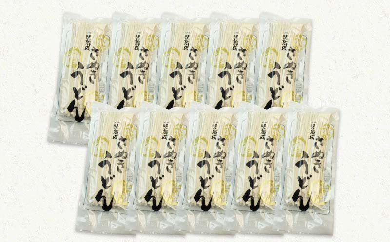 極旨！一晩熟成半生さぬきうどん 300g×10袋、つゆ20袋 F5J-163
