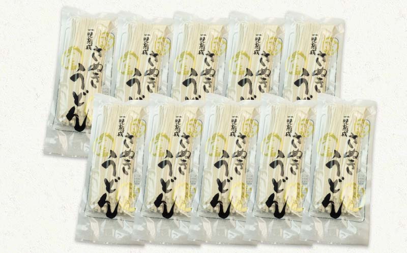 極旨！一晩熟成半生さぬきうどん 300g×5袋、つゆ10袋×2箱（20人前） F5J-164