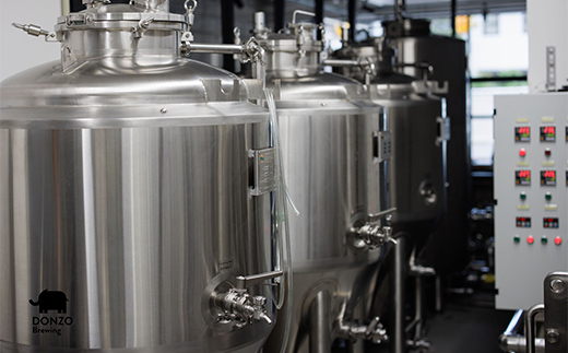 オリジナルクラフトビール ことひらIPA３本 ことひらペールエール３本セット ビール エールビール ホップ 呑象ブリューイング 麦芽 晩酌 香川 四国 F5J-1026