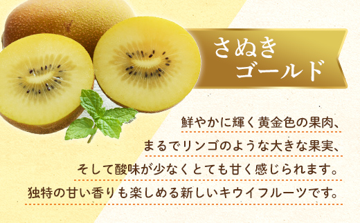 【フルーツ定期便 2回】 《キウイっこからスタート》 Kセット さぬきゴールド 約2.7kg キウイっこ 約1.8kg キウイ キウイフルーツ 旬 果物 国産 香川県 フルーツ定期便 F5J-789