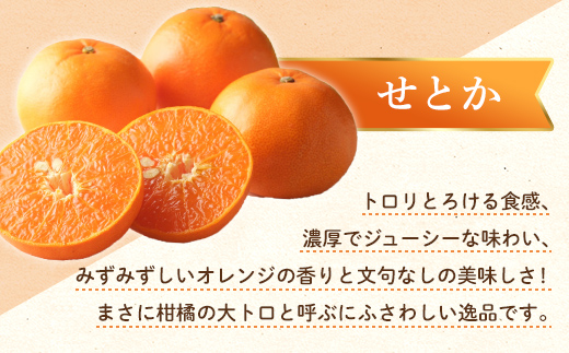 【フルーツ定期便 2回】 《キウイっこからスタート》 Oセット キウイっこ 約1.8kg せとか 約5kg キウイ キウイフルーツ みかん 柑橘 旬 果物 国産 香川県 フルーツ定期便 F5J-814