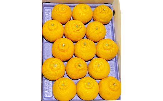 【先行予約2026年2月～3月頃お届け】 不知火(約4kg) しらぬい 柑橘 果物 香川 みかん F5J-954