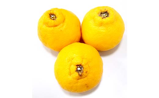 【先行予約2026年2月～3月頃お届け】 訳あり家庭用不知火(約5kg) しらぬい 柑橘 果物 香川 みかん F5J-955