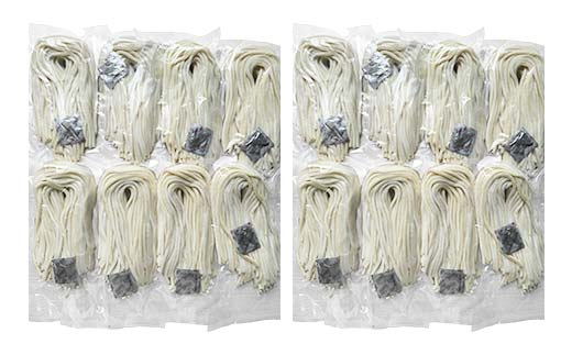 大容量 うどん 48人前【かけとぶっかけ】 麺 手打ち 生麺 うどん うどんつゆ かけつゆ 食品 名産品 四国 F5J-963