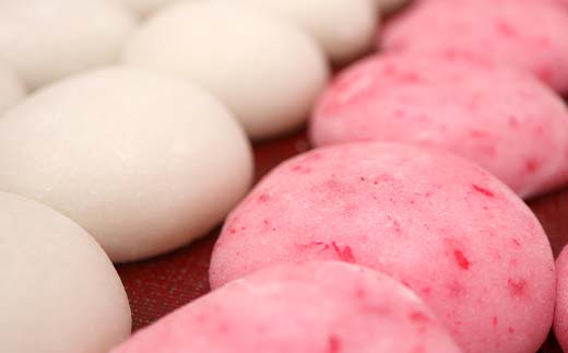 浪花堂餅店 おもち詰合せ えびもち10個 白餅10個 計20個 もち お餅 餡なし 保存料無添加 お雑煮 お正月 食品 F5J-993