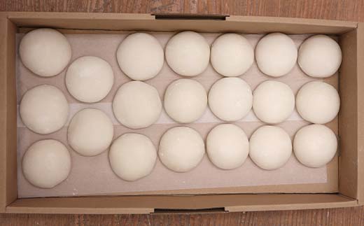 浪花堂餅店 餡なし白餅20個 もち お餅 お雑煮 お正月 餅 おもち 食品 F5J-994