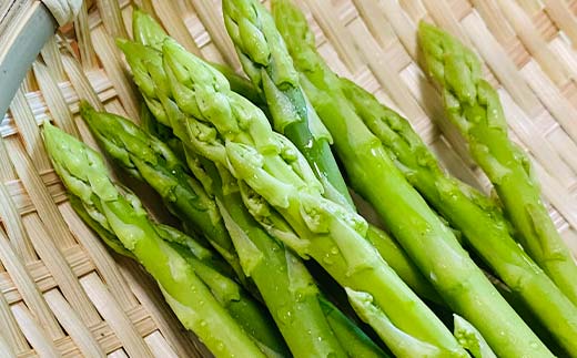 【先行予約2026年6月～10月頃お届け】【訳あり】夏芽 さぬきのめざめアスパラガス 約1.5kg  F5J-772