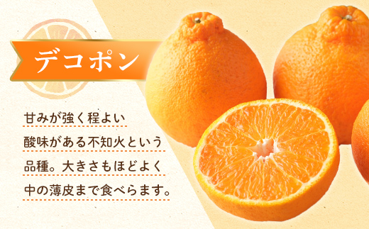 【フルーツ定期便 2回】 《デコポンからスタート》 Cセット ピオーネ 約1.2kg デコポン 約5kg ぶどう みかん 柑橘 旬 果物 国産 香川県 フルーツ定期便 F5J-781