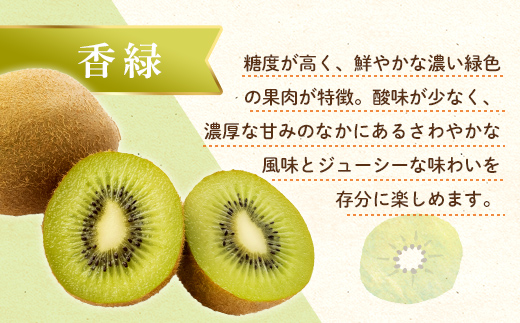 【フルーツ定期便 2回】 《香緑からスタート》 Dセット ピオーネ 約1.2kg 香緑 約3kg ぶどう キウイ キウイフルーツ 旬 果物 国産 香川県 フルーツ定期便 F5J-782