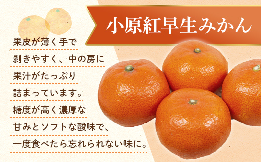 【フルーツ定期便 2回】 《小原紅早生みかんからスタート》 Jセット さぬきゴールド 約2.7kg 小原紅早生みかん 約4.5kg キウイ キウイフルーツ みかん 柑橘 旬 果物 国産 香川県 フルーツ定期便 F5J-788