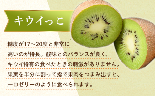 【フルーツ定期便 2回】 《キウイっこからスタート》 Kセット さぬきゴールド 約2.7kg キウイっこ 約1.8kg キウイ キウイフルーツ 旬 果物 国産 香川県 フルーツ定期便 F5J-789