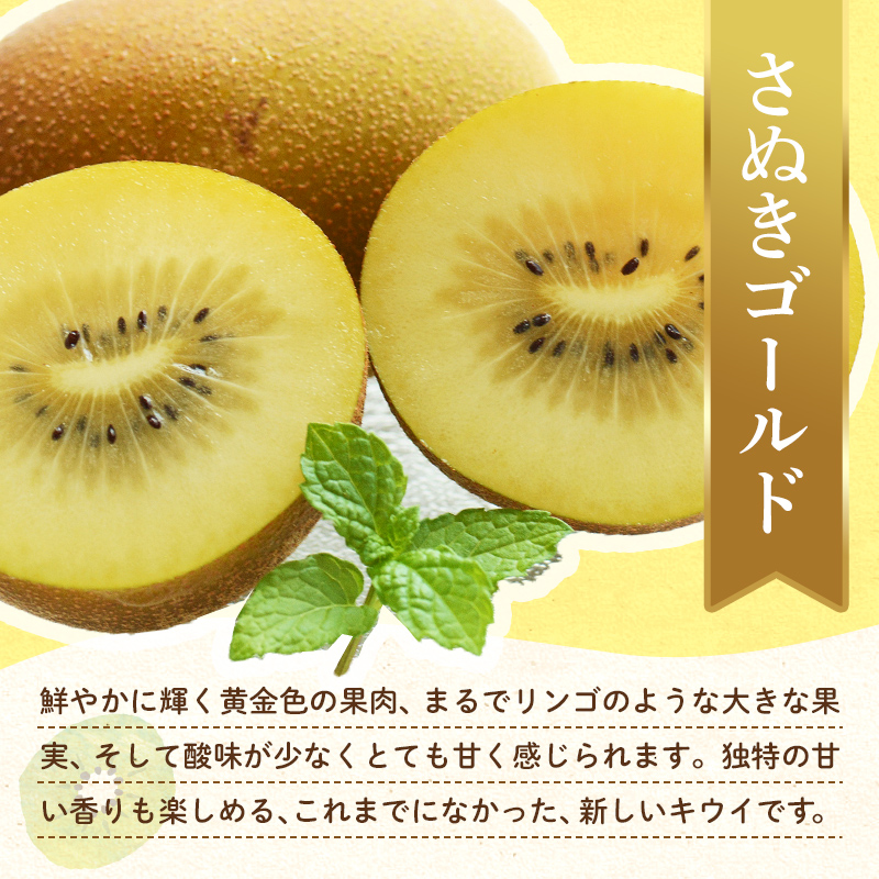 【フルーツ定期便 3回】 《せとかからスタート》 Aセット ピオーネ 約1.2kg さぬきゴールド 約2.7kg せとか 約5kg ぶどう キウイ キウイフルーツ みかん 柑橘 旬 果物 国産 香川県 フルーツ定期便 F5J-793