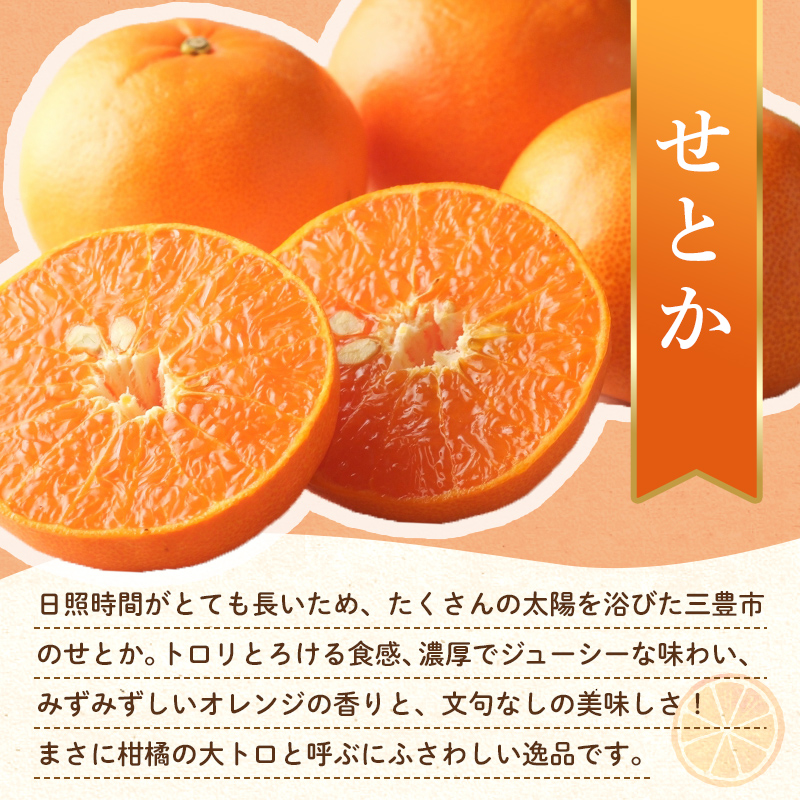 【フルーツ定期便 3回】 《香緑からスタート》 Gセット ピオーネ 約1.2kg 香緑 約3kg せとか 約5kg ぶどう キウイ キウイフルーツ みかん 柑橘 旬 果物 国産 香川県 フルーツ定期便 F5J-799