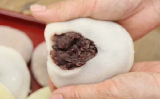 浪花堂餅店 五色餅詰合せ よもぎ 豆 白 きび あわ 各3個 計15個 杵つきもち 餅 大福 自家製あんこ つきたて お雑煮 お正月 食品 甘味 和菓子 ギフト F5J-992