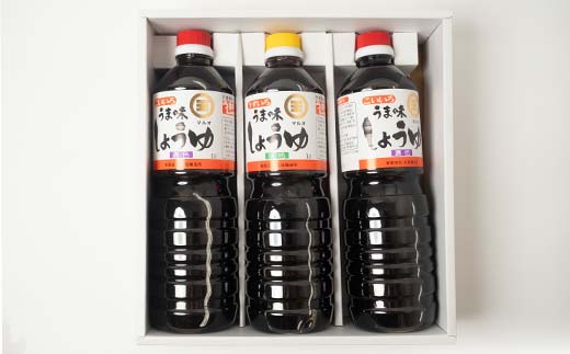 うま味しょうゆこいいろ2本・うすいろ1本セット F5J-487