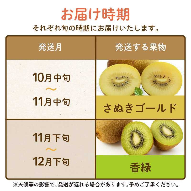 【フルーツ定期便 2回】 《香緑からスタート》 I セット さぬきゴールド 約2.7kg 香緑 約3kg キウイ キウイフルーツ 旬 果物 国産 香川県 フルーツ定期便 F5J-787