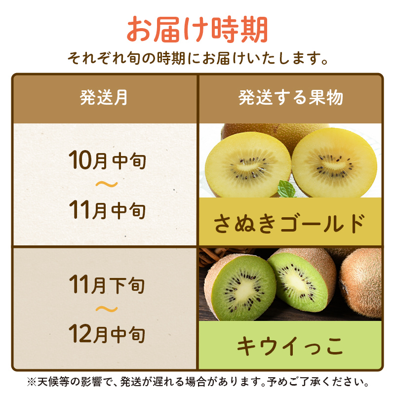 【フルーツ定期便 2回】 《キウイっこからスタート》 Kセット さぬきゴールド 約2.7kg キウイっこ 約1.8kg キウイ キウイフルーツ 旬 果物 国産 香川県 フルーツ定期便 F5J-789