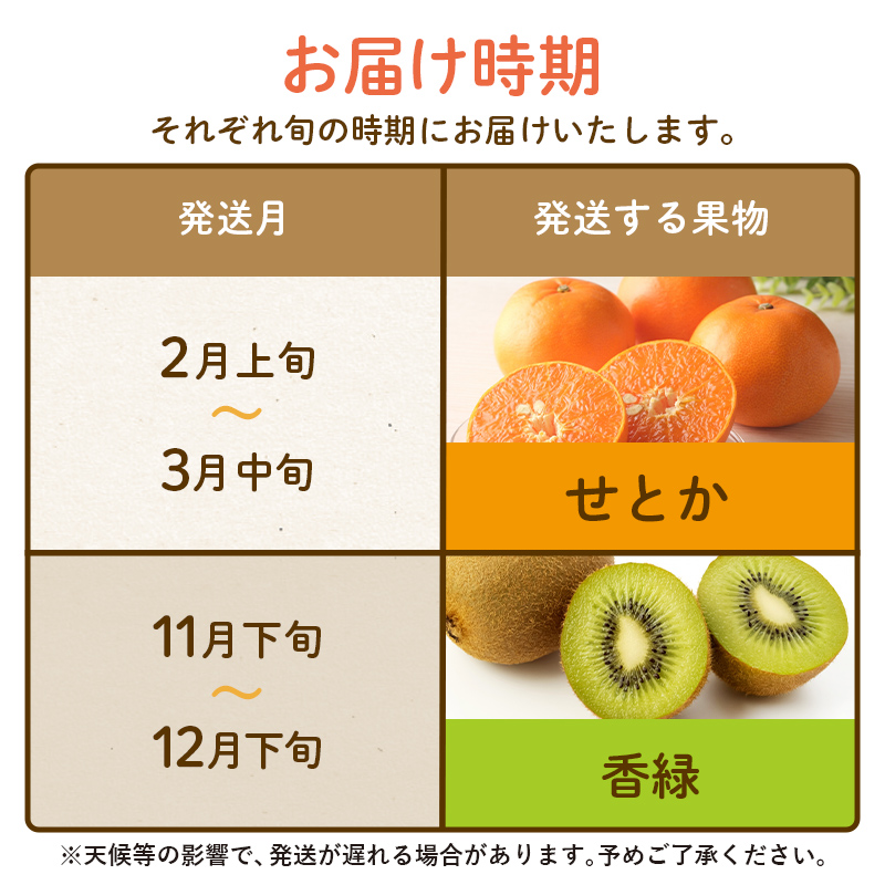 【フルーツ定期便 2回】 《香緑からスタート》 Mセット 香緑 約3kg せとか 約5kg キウイ キウイフルーツ みかん 柑橘 旬 果物 国産 香川県 フルーツ定期便 F5J-791