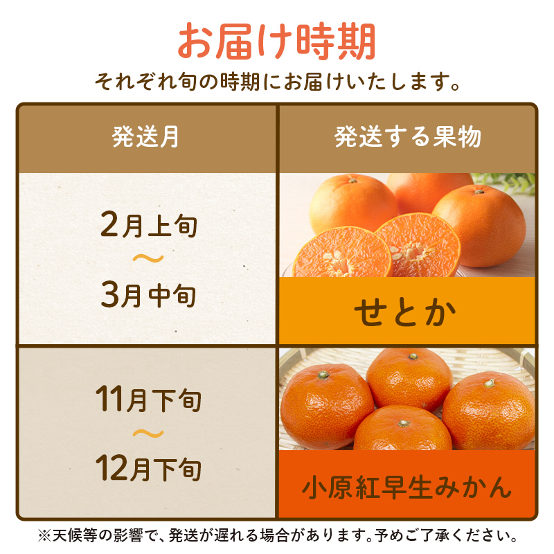 【フルーツ定期便 2回】 《小原紅早生みかんからスタート》 Nセット 小原紅早生みかん 約4.5kg せとか 約5kg みかん 柑橘 旬 果物 国産 香川県 フルーツ定期便 F5J-792