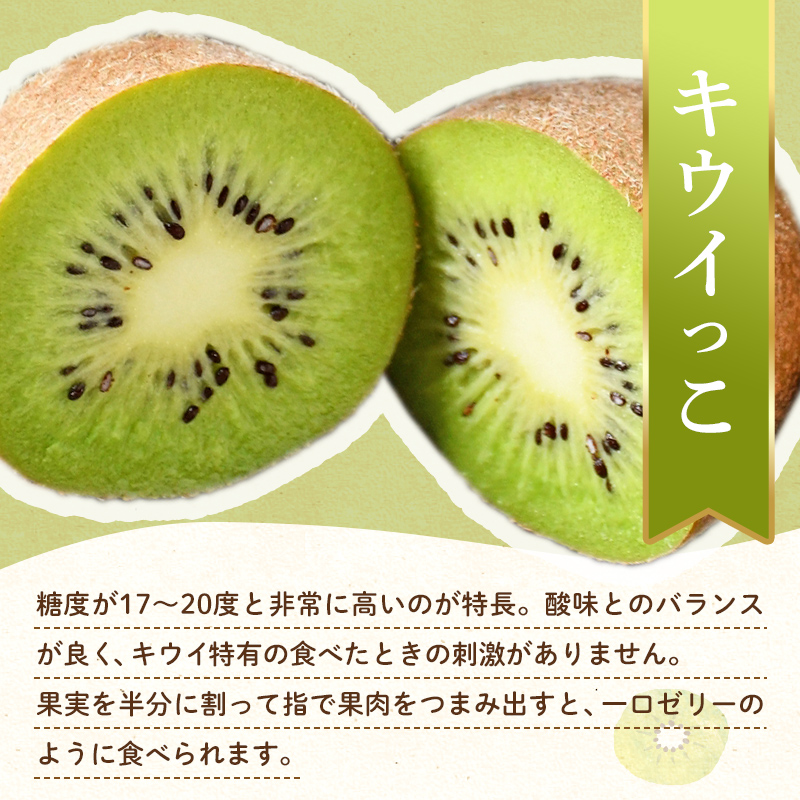 【フルーツ定期便 3回】 《キウイっこからスタート》 Iセット ピオーネ 約1.2kg キウイっこ 約1.8kg せとか 約5kg ぶどう キウイ キウイフルーツ みかん 柑橘 旬 果物 国産 香川県 フルーツ定期便 F5J-801