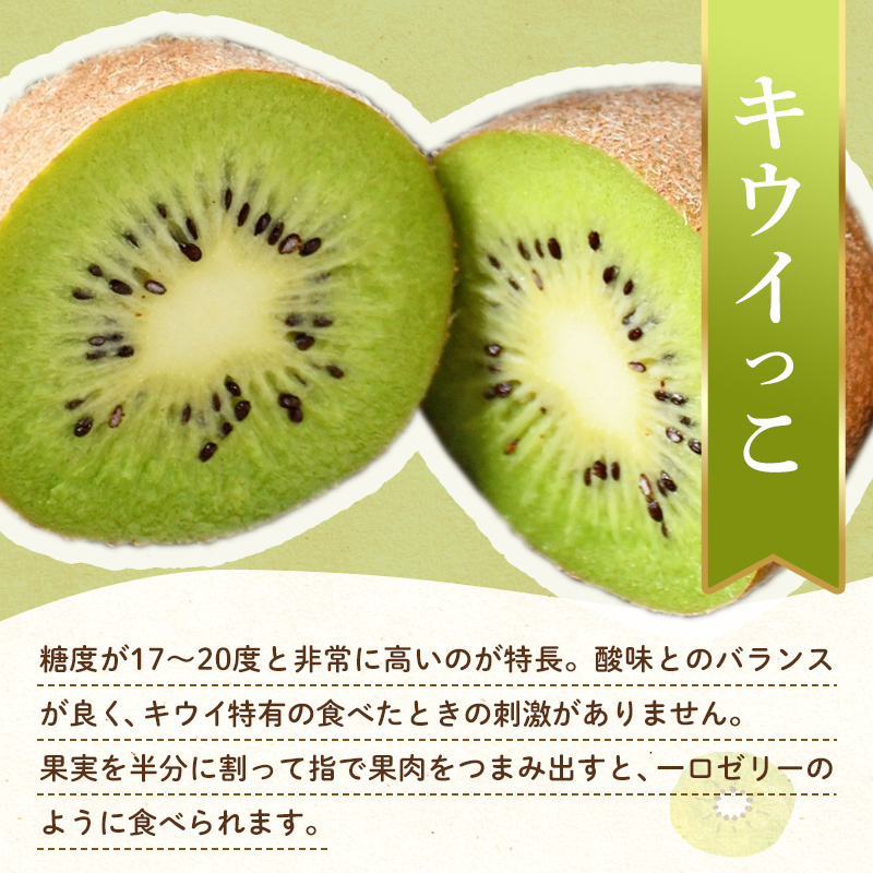 【フルーツ定期便 3回】 《キウイっこor香緑からスタート》 Jセット さぬきゴールド 約2.7kg 香緑 約3.0kg キウイっこ 約1.8kg キウイ キウイフルーツ 旬 果物 国産 香川県 フルーツ定期便 F5J-802