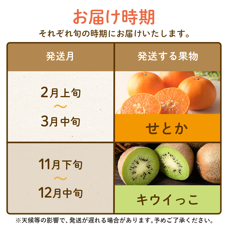 【フルーツ定期便 2回】 《キウイっこからスタート》 Oセット キウイっこ 約1.8kg せとか 約5kg キウイ キウイフルーツ みかん 柑橘 旬 果物 国産 香川県 フルーツ定期便 F5J-814