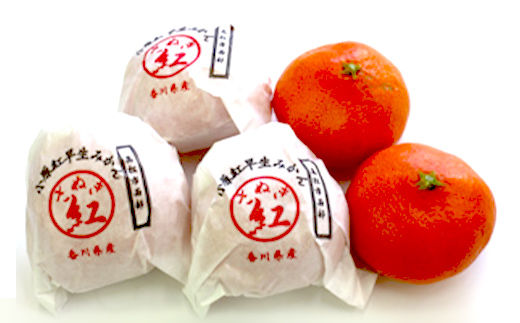 【人気フルーツ定期便B 2回】 《さぬきエンジェルスイートからスタート》 さぬきエンジェルＳキウイ 約1kg 越冬小原紅早生 約1kg キウイ キウイフルーツ  みかん 柑橘 旬 果物 国産 香川県 フルーツ定期便 F5J-928