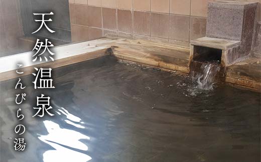 つるや旅館 2名 一泊2食付き平日プラン 宿泊チケット 日本酒 地酒 会席料理 こんぴら 郷土料理 地産地消 F5J-951