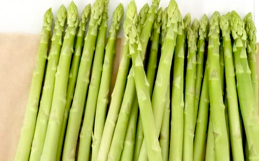 【先行予約2026年2月中旬～2026年6月下旬頃お届け】春芽 太物(Lサイズ以上) さぬきのめざめアスパラガス 約1kg F5J-765