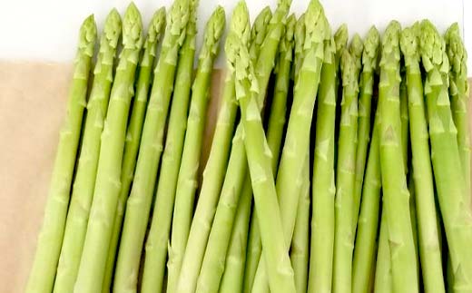 【先行予約2026年2月中旬～2026年6月下旬頃お届け】【訳あり】春芽 さぬきのめざめアスパラガス 約1kg F5J-767