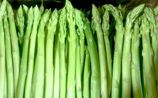 【先行予約2026年6月～10月頃お届け】【訳あり】夏芽 さぬきのめざめアスパラガス 約1.5kg  F5J-772