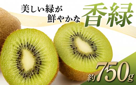 【先行予約】《2025年12月～2026年3月頃お届け》 キウイ 美しい緑が鮮やかな 香緑 こうりょく 約750g 国産 香川 果物 キュウイ キューイ フルーツ 旬 香川県 香川県共通返礼品 F5J-1021