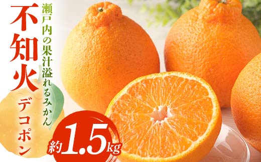 【先行予約】《2026年3月頃お届け》 デコポン 瀬戸内の果汁溢れるみかん 不知火 約1.5kg しらぬい みかん 柑橘 フルーツ 旬 でこぽん デコポン 厳選 F5J-1024