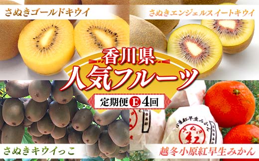 【人気フルーツ定期便E 4回】《さぬきゴールドキウイからスタート》さぬきゴールド さぬきエンジェルスイートキウイ さぬきキウイっこ 越冬小原紅早生みかん　各約1kg キウイ みかん 旬 フルーツ 果物 国産 香川県 F5J-1025