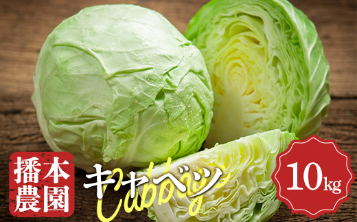 【先行予約2025年11月～2026年6月頃お届け】播本農園のキャベツ 10kg キャベツ 甘い 野菜 サラダ 食品  四国 F5J-900