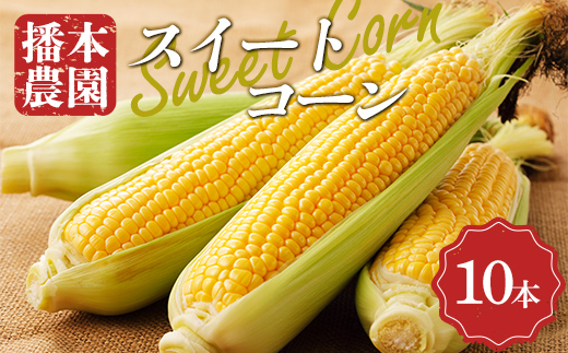 【先行予約2026年6月25日～2026年7月20日頃お届け】播本農園のスイートコーン 10本 とうもろこし トウモロコシ コーン スイートコーン 甘い  野菜  食品  四国 F5J-191