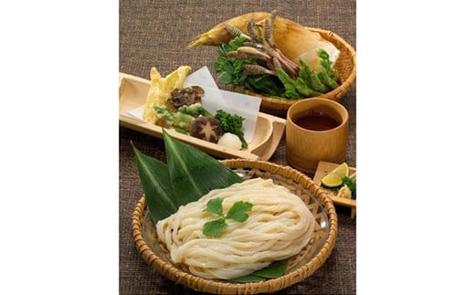 ＜瀬戸内中讃定住自立圏＞うどんの名店食べ比べセット ご当地 半生 純生 うどん 麺 讃岐うどん さぬきうどん 本場 名店 食べ比べ セット 詰合せ めんつゆ つゆ 食品 名産 四国 F5J-778