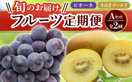 【フルーツ定期便 2回】 《ピオーネからスタート》 Aセット ピオーネ 約1.2kg さぬきゴールド 約2.7kg ぶどう キウイ キウイフルーツ 旬 果物 国産 香川県 フルーツ定期便 F5J-779
