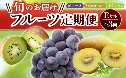 【フルーツ定期便 3回】 《キウイっこからスタート》 Eセット ピオーネ 約1.2kg さぬきゴールド 約2.7kg キウイっこ 約1.8kg ぶどう キウイ キウイフルーツ 旬 果物 国産 香川県 フルーツ定期便 F5J-797