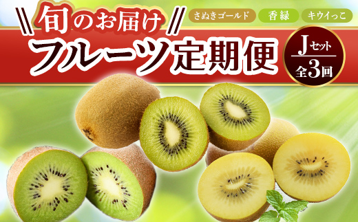 【フルーツ定期便 3回】 《キウイっこor香緑からスタート》 Jセット さぬきゴールド 約2.7kg 香緑 約3.0kg キウイっこ 約1.8kg キウイ キウイフルーツ 旬 果物 国産 香川県 フルーツ定期便 F5J-802