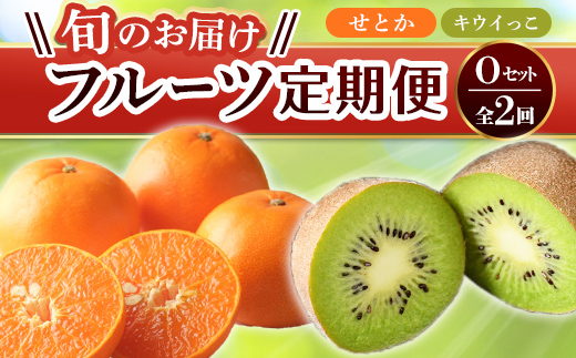 【フルーツ定期便 2回】 《キウイっこからスタート》 Oセット キウイっこ 約1.8kg せとか 約5kg キウイ キウイフルーツ みかん 柑橘 旬 果物 国産 香川県 フルーツ定期便 F5J-814