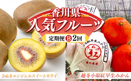 【人気フルーツ定期便B 2回】 《さぬきエンジェルスイートからスタート》 さぬきエンジェルＳキウイ 約1kg 越冬小原紅早生 約1kg キウイ キウイフルーツ  みかん 柑橘 旬 果物 国産 香川県 フルーツ定期便 F5J-928