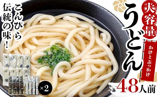 大容量 うどん 48人前【かけとぶっかけ】 麺 手打ち 生麺 うどん うどんつゆ かけつゆ 食品 名産品 四国 F5J-963