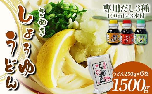 さぬき醤油うどん (1500g) 専用だし3種付 セット さぬき 讃岐 うどん ぶっかけ 釜揚げ 釜玉 だし だし醤油 麺 名物 ご当地 グルメ 食品 四国 F5J-333