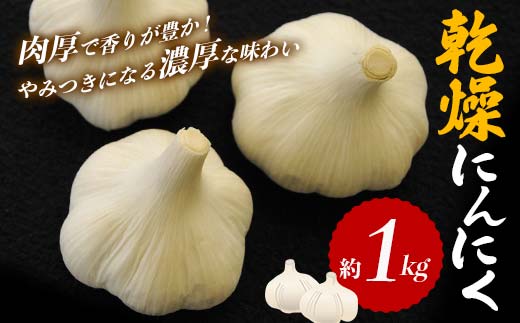 乾燥にんにく (約1kg) にんにく ニンニク ガーリック 乾燥 食品 名産 四国 F5J-918