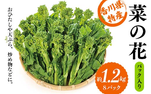 【先行予約2025年12月～2026年3月頃お届け】 菜の花 パック入り 約1.2kg (8パック) なの花 菜の花 おひたし 天ぷら 炒め物 春 野菜 食品 名産 四国 F5J-924