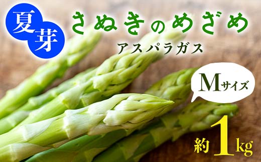 【先行予約2026年6月～10月頃お届け】夏芽 さぬきのめざめ アスパラガス Mサイズ 約1kg  F5J-770