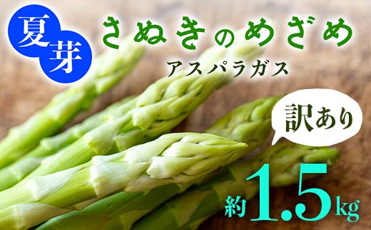 【先行予約2026年6月～10月頃お届け】【訳あり】夏芽 さぬきのめざめアスパラガス 約1.5kg  F5J-772