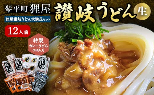 特製カレーうどんつゆ入り 狸屋讃岐うどん大満足セット12人前 5種のつゆ付き 詰合せ 生うどん カレー つゆ うどん 本場 讃岐 讃岐うどん さぬきうどん ご当地 グルメ 名産品 食品 F5J-201