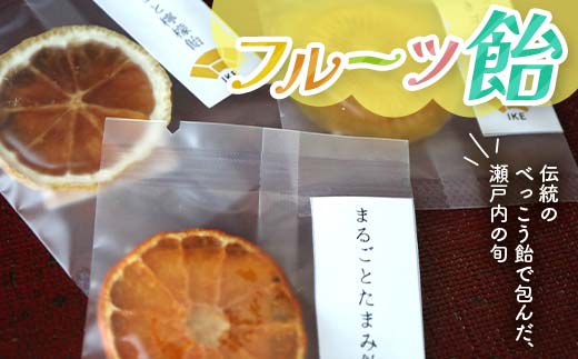 こんぴら池商店【フルーツ飴菓子】フルーツ飴　9枚（棒なし） 瀬戸内レモン さぬきゴールド たまみ みかん 伝統 あめ 飴 おやつ おみやげ ギフト フルーツ 香川県 F5J-492